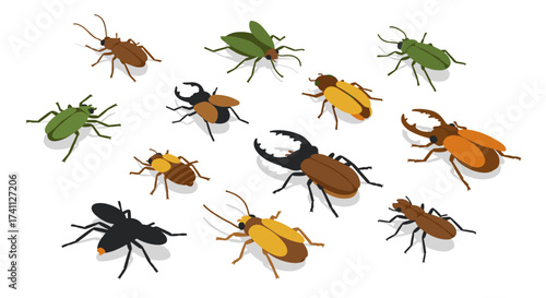 Diverse isometric insects on white background featuring beetles and bugs