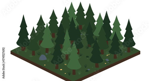 Lush isometric forest scene with pine trees and vegetation
