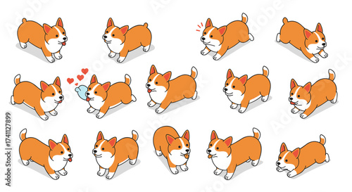 Cute corgi cartoon poses with playful expressions and heart details