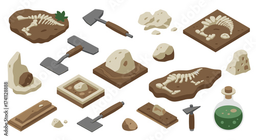 Isometric archaeology tools and dinosaur fossils collection with rocks