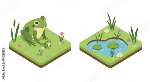 Isometric frog family by a pond in nature scene with greenery and water lilies