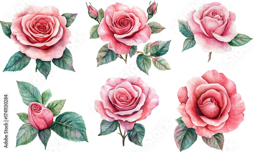 set of roses vector