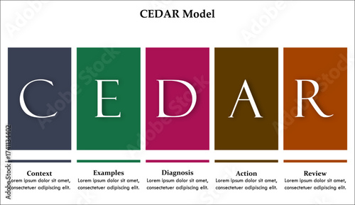 CEDAR Model - Context, Examples, Diagnosis, Action, Review. Infographic template with icons and description placeholder
