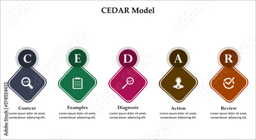CEDAR Model - Context, Examples, Diagnosis, Action, Review. Infographic template with icons and description placeholder
