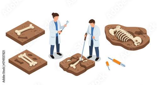 Archaeologists excavating dinosaur fossils with tools in an isometric view