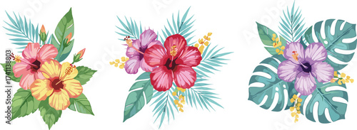 Tropical hibiscus flower arrangements with vibrant leaves, exotic botanical clipart, colorful summer design elements, nature-inspired illustration, floral decoration set