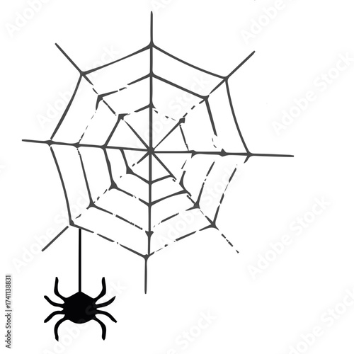 Spider Web Halloween 