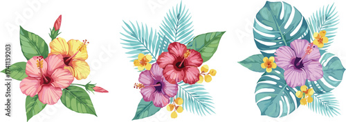 Tropical hibiscus flower arrangements with vibrant leaves, exotic botanical illustration, colorful floral design elements, summer-themed clipart, nature-inspired artwork