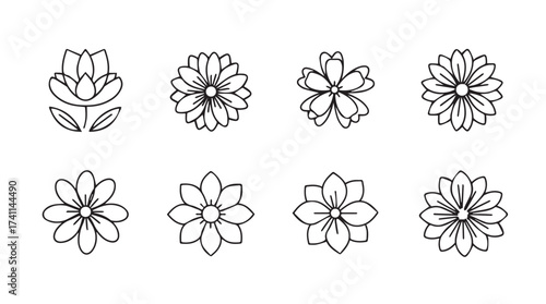 Collection of hand-drawn floral elements for decorative design projects and artistic creations vector