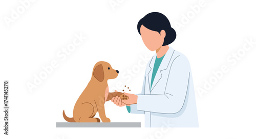 A veterinarian in a white coat examines a golden retriever puppy's paw, providing veterinary care and checking the dog's health in a clean, minimalist illustration.