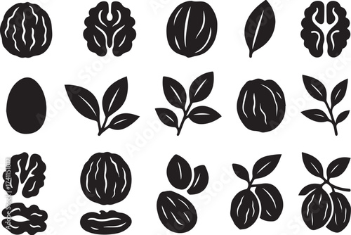 Walnut plant black and white linocut vector art showing nut, kernel and leaf silhouettes for organic food packaging and botanical design