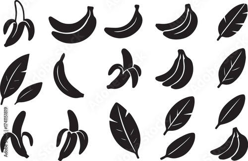 Banana plant black and white linocut vector art showing fruit, peel and leaf silhouettes for tropical food and packaging illustration