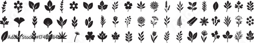 Black and white botanical icon collection of plants flowers herbs and seeds in linocut vector style for natural packaging and label design