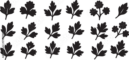 Parsley leaf silhouettes black and white minimalist linocut vector collection for kitchen herb packaging