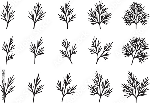 Dill herb black and white linocut vector illustration with sprig and leaf silhouettes for botanical organic and culinary artwork design