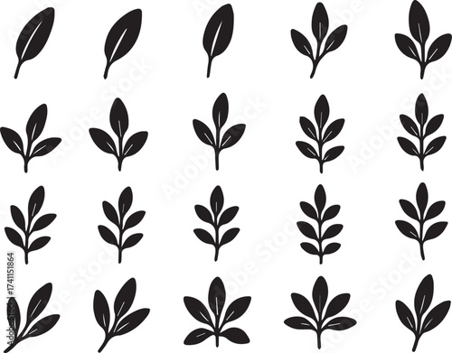 Sage leaf silhouettes black and white minimalist linocut vector set for organic herb and cosmetic packaging
