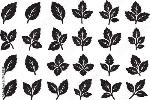 Mint leaf silhouettes in minimalist linocut style black and white vector for herbal tea and cosmetic label design