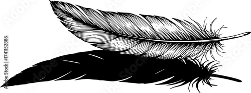  A single, delicate feather drawn in fine black lines, casting an impossibly large, solid black, heavy-looking geometric shadow on the white ground