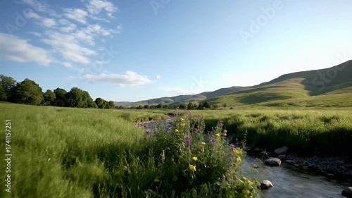 Wallpaper Mural Serene Meadow Stream: Lush Green Valley Under a Clear Blue Sky Torontodigital.ca