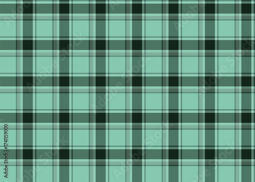Mint green and black seamless tartan plaid fabric design