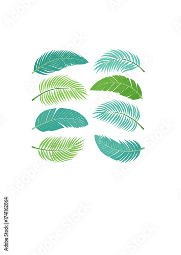 Collection of vibrant green palm leaves in various shapes and sizes, perfect for tropical and nature-themed designs