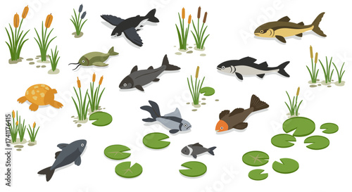 Aquatic life collection in flat design with diverse freshwater fish and plants