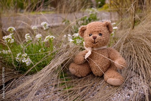 Teddybär draußen