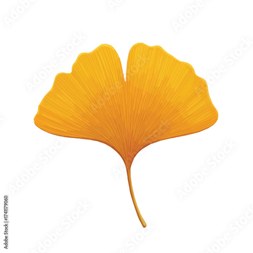 Ginkgo leaf with bright yellow hue and delicate texture representing autumn season