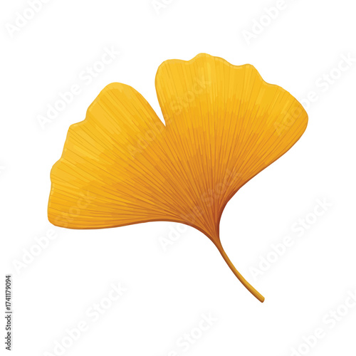 Two yellow ginkgo leaves showing bright autumn colors and natural symmetry