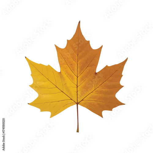 Golden yellow maple leaf symbolizing autumn beauty with delicate veins and rich texture