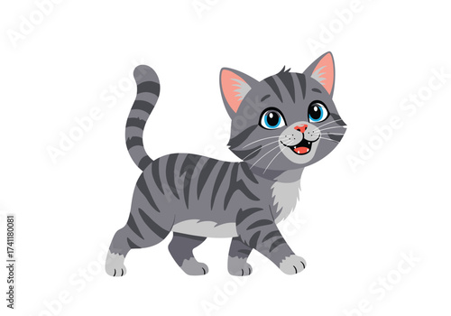 A cute grey tabby cat walking with blue eyes.