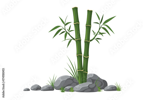 Green bamboo stalks with rocks and grass on a white background.