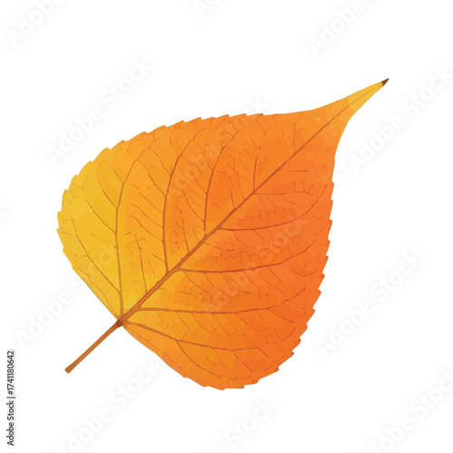 Light orange leaf with soft gradient and curved shape isolated on white background