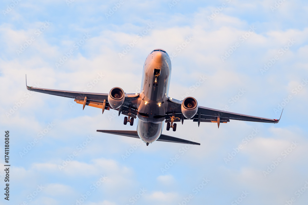 Naklejka premium 飛行する航空機を正面から撮影した写真