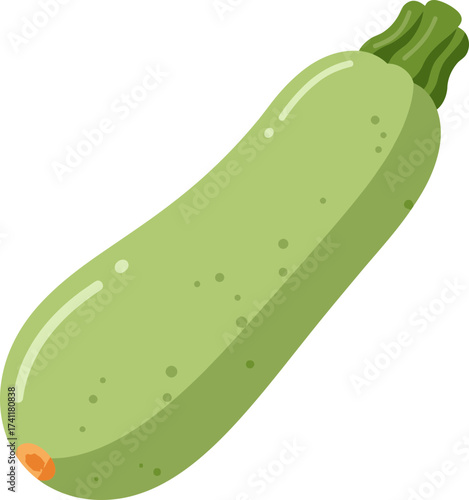 vector illustration of a green cucumber
