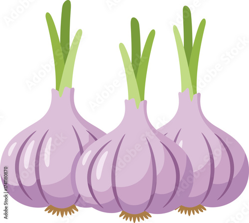 onion isolated on white background
