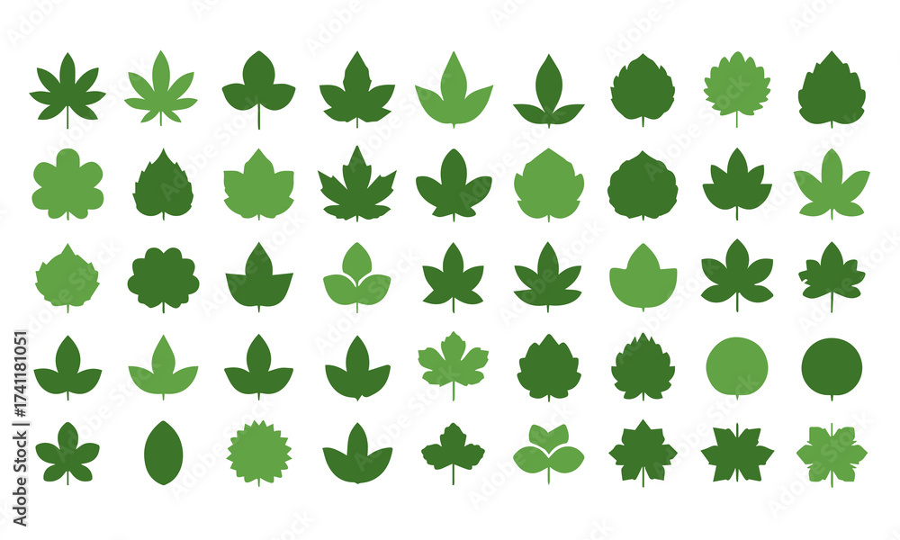 Fototapeta premium Collection of various green leaf shapes, showcasing diverse botanical forms for natureinspired designs and illustrations, ideal for ecological and environmental themes