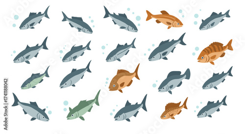 Diverse group of colorful fish swimming in various directions