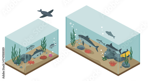 Isometric aquarium scene with diverse fish and marine plants