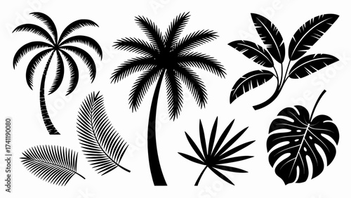 Tropical Leaves and Palm Trees Silhouettes for Summer Vacation Designs and Exotic Floral Patterns Black and White Collection