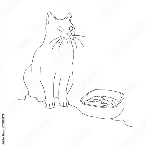 cats and their food.cat and plate meaning