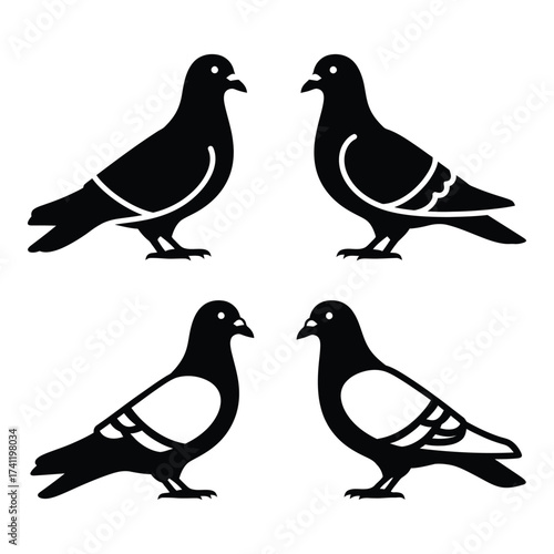 Four black silhouette pigeons standing facing each other in pairs creative art silhouette