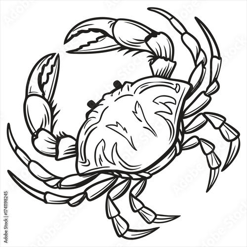 Ocean Warrior, Crab Line Art Vector, Coastal Guardian, Sea Crab Tattoo Design, Marine Life Sketch – Crab, Beachside Creature Illustration, Elegant Crab Outline, Aquatic Art – Crab Vector