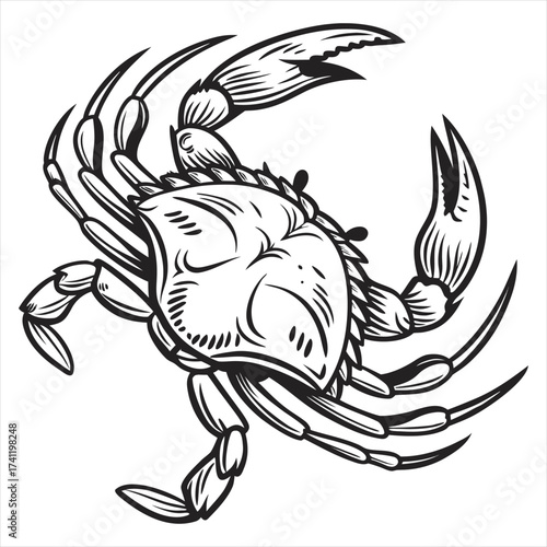 Ocean Warrior, Crab Line Art Vector, Coastal Guardian, Sea Crab Tattoo Design, Marine Life Sketch – Crab, Beachside Creature Illustration, Elegant Crab Outline, Aquatic Art – Crab Vector