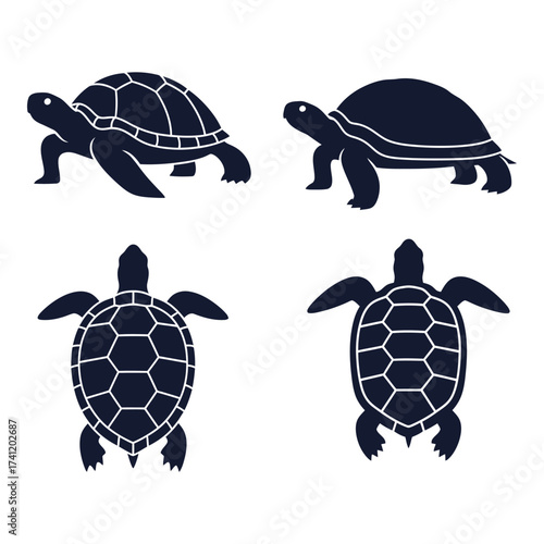 Four silhouette tortoises and turtles displaying different perspectives and details in dark blue silhouette