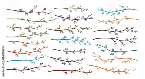 A collection of delicate hand drawn botanical branches and twigs.