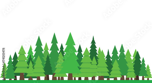 A dense forest of green evergreen trees on a sunny day.