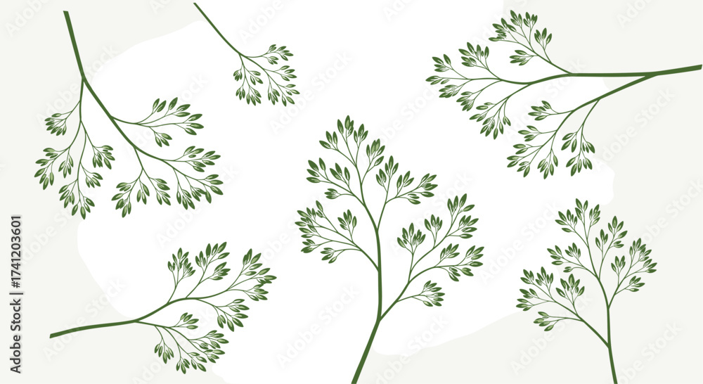 Fototapeta premium Elegant botanical branches with delicate green leaves for nature inspired designs.