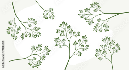 Elegant botanical branches with delicate green leaves for nature inspired designs.