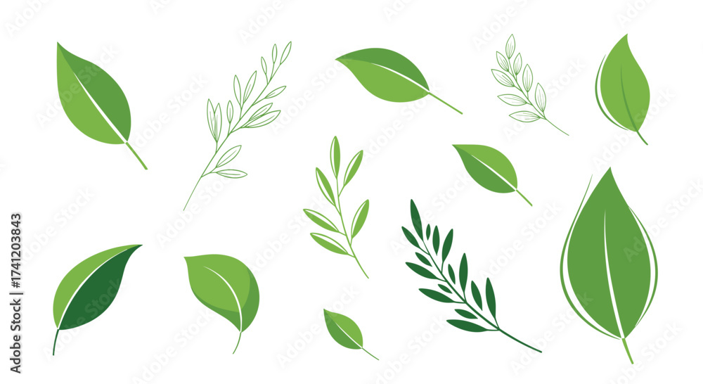 Naklejka premium A collection of various green leaves and branches with delicate details.